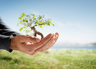 ECO AWARE ECO AWARE
